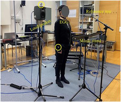 Body motion of choral singers